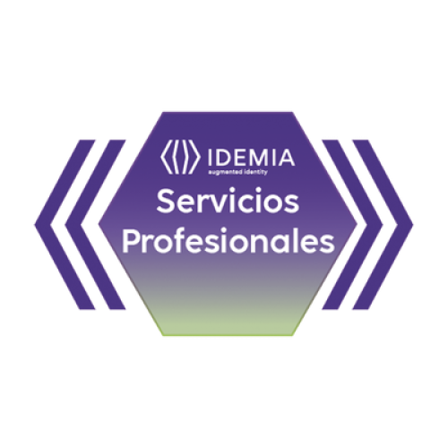 REMOTE ASSISTANCE JUNIOR 4 HORAS