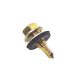 Tornillo Punta Broca Sello Montado 6.5 X 38 mm (1/4