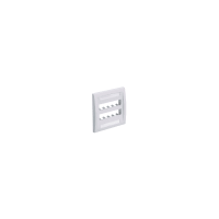Placa de Pared Vertical Ejecutiva, Salida Para 10 Puertos Mini-Com, Con Espacios Para Etiquetas, Color Blanco Mate