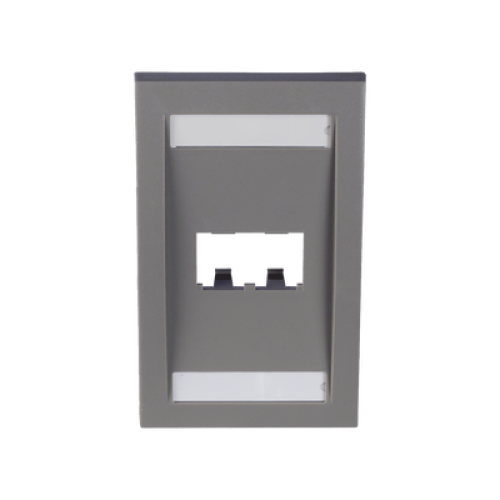 Placa de Pared Vertical Ejecutiva, Salida Para 2 Puertos Mini-Com, Con Espacios Para Etiquetas, Color Gris