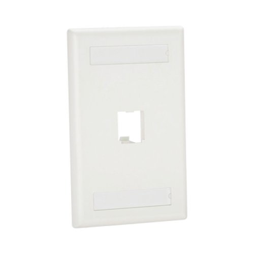 Placa de Pared Vertical Clásica, Salida Para 1 Puerto Mini-Com, Con Espacios Para Etiquetas, Color Blanco