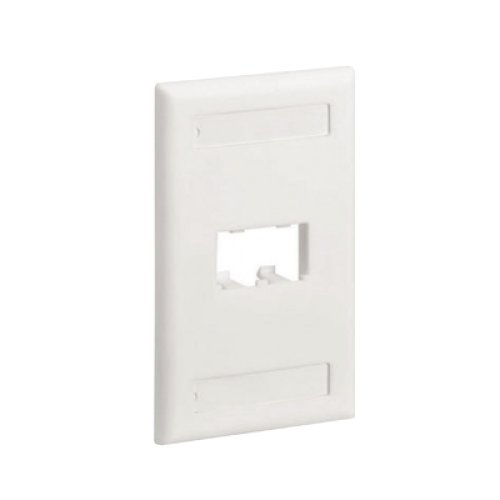 Placa de Pared Vertical Clásica, Salida Para 2 Puertos Mini-Com, Con Espacios Para Etiquetas, Color Blanco