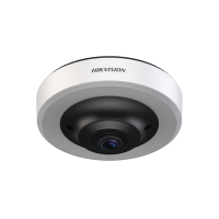 Cámara Fisheye 360°de Estacionamiento 12MP / Algoritmo de Detección de Espacio de Estacionamiento / Admite H.265 / Instalación en Techo / Soporte PoE / Detecta hasta 16 Espacios Ocupados o Libres