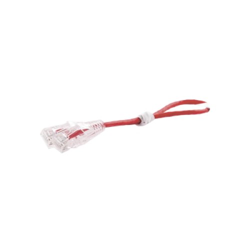 Cable de Parcheo Slim UTP Cat6 - 30 cm (11.81 Pulgadas) Rojo Diámetro Reducido (28 AWG)
