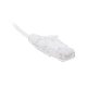 Cable de Parcheo Slim UTP Cat6 - 30 cm (11.81 Pulgadas) Blanco, Diámetro Reducido (28 AWG)