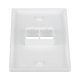 Placa de Pared Vertical, Salida Para 2 Puertos Keystone, Color Blanco