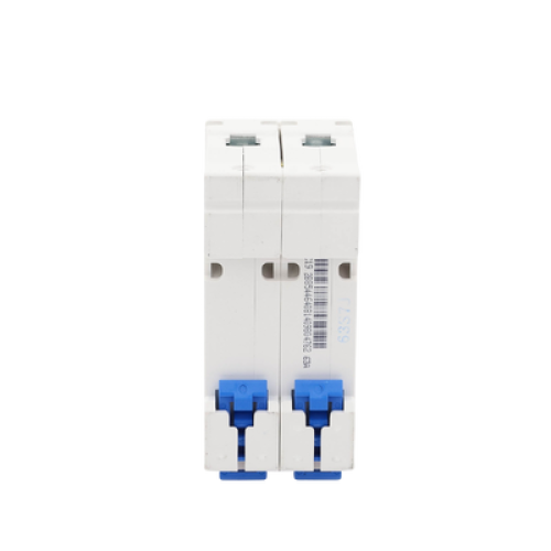 Pastilla para Riel Din, 2 Polo, 63 Amp, Vca:110/415v, 6kA, Catálogo: NXB632PC63, Serie: NXB-63.