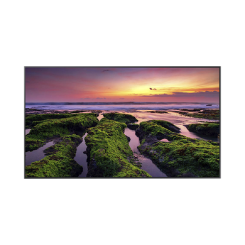 Pantalla Profesional LED de 55