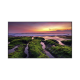 Pantalla Profesional LED de 55