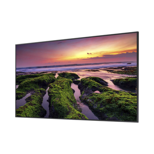 Pantalla Profesional LED de 55