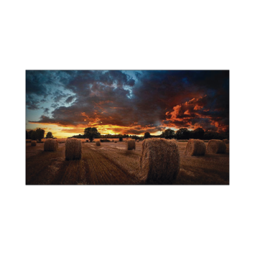 Pantalla Profesional de 46