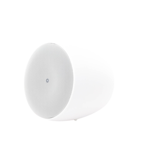 Altavoz Colgante Comercial | 6.5 in | 2 Vias | 300w | 8 Ohms | 70v/100v | Blanco