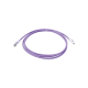 Patch Cord Z-MAX Cat6A S/FTP, CM/LS0H, 2.13 Metros (7 Pies), Color Violeta, Versión Bulk